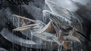 Solo Expo Combolution